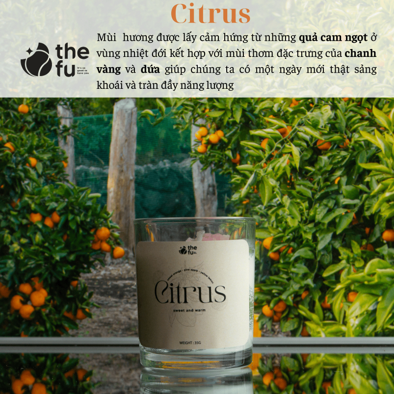 Set Quà Tặng Nến Thơm Eternal Crush 05 Tặng Sinh Nhật Bạn Gái,Bạn Trai THEFU