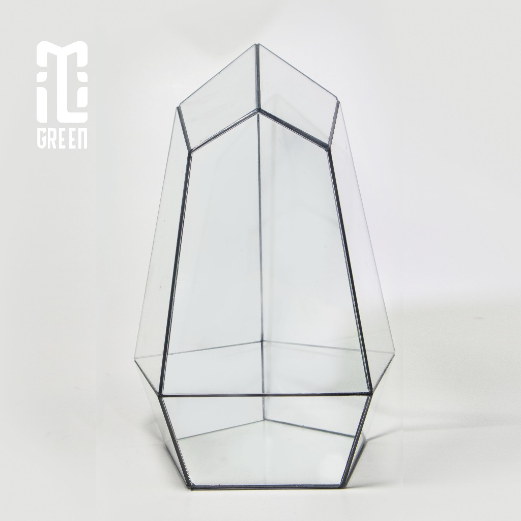 Terrarium, Bể kính Terrarium, Bể kính, Trang trí Terrarium, Setup bàn làm việc