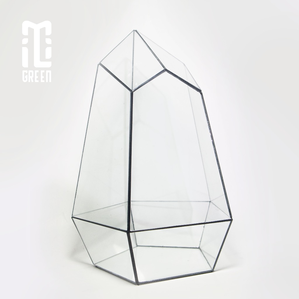 Terrarium, Bể kính Terrarium, Bể kính, Trang trí Terrarium, Setup bàn làm việc