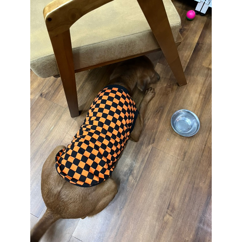 Áo ba lổ caro cho thú cưng