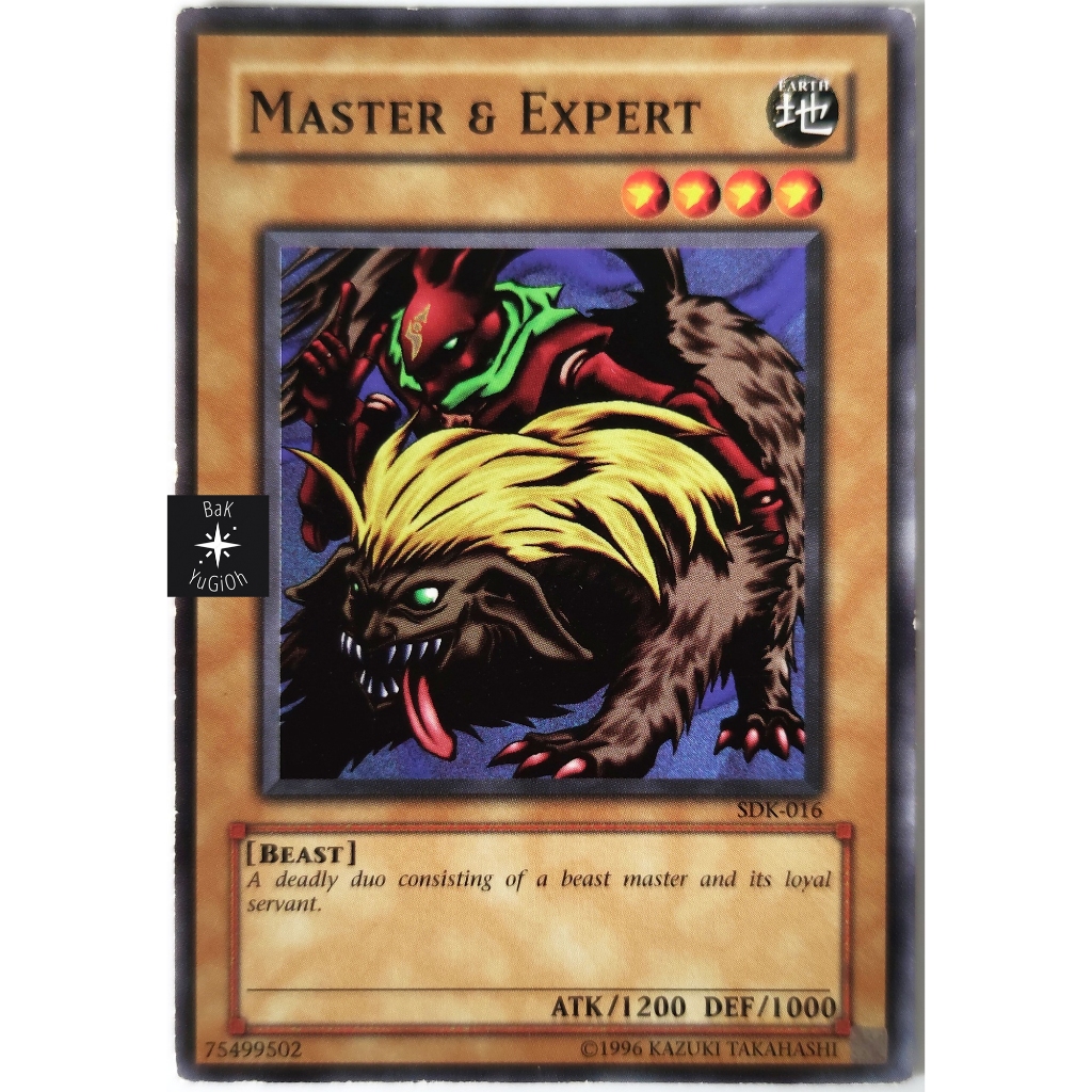 Master & Expert |EN| Common