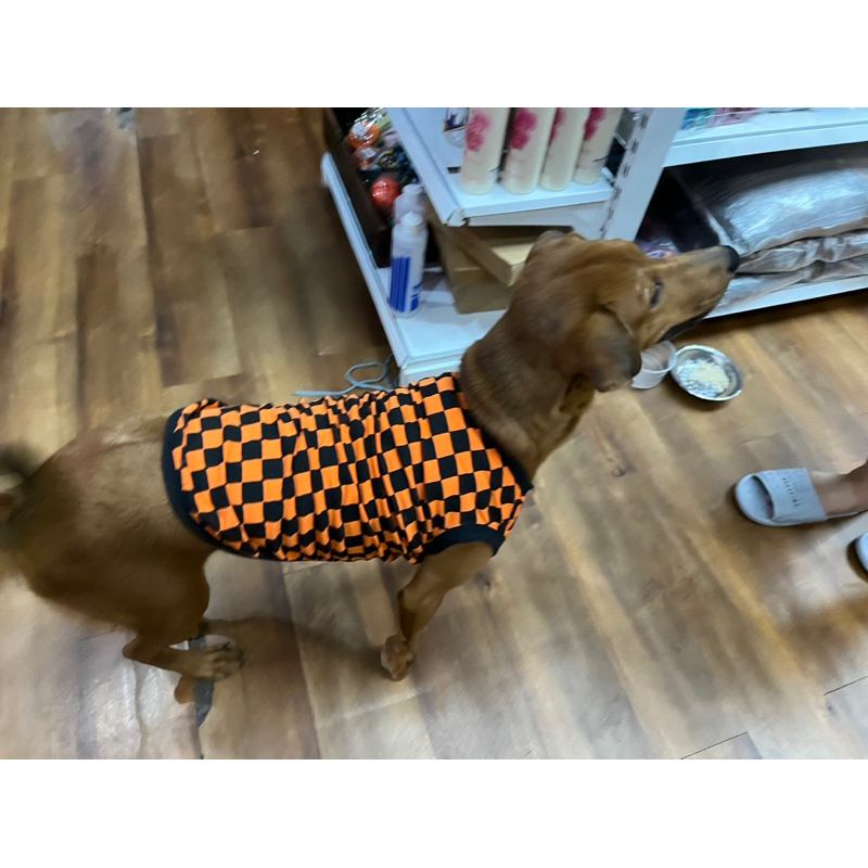 Áo ba lổ caro cho thú cưng