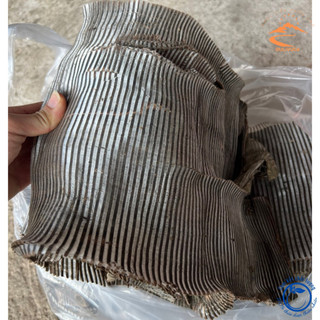 Vỏ cây Đỗ trọng bắc khô Sìn Hồ loại 1 Dược liệu đỗ trọng bắc nam giúp bổ thận tráng dương, mạnh gân cốt