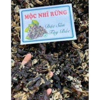 Mộc nhĩ rừng - Sùng Bầu