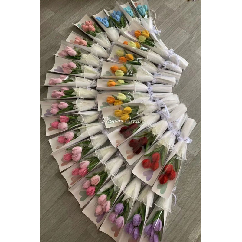 Hoa Tulip - Kẽm nhung nhiều màu