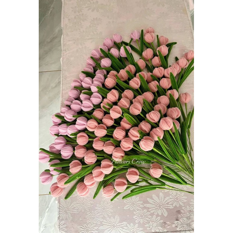 Hoa Tulip - Kẽm nhung nhiều màu