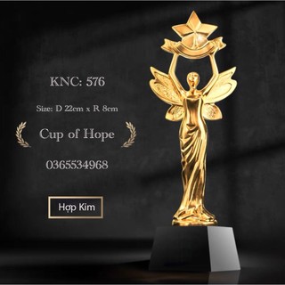 Kỷ niệm chương 576 lưu niệm cúp bóng đá thể thao cup lưu niệm pha lê cờ giá rẻ xịn huy chương vàng cúp vàng