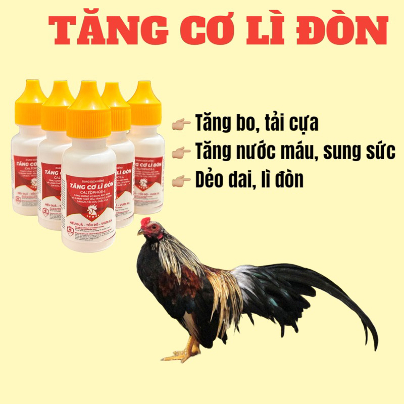 3 lọ TĂNG CƠ LÌ ĐÒN 10ML tăng bo, trợ lực, gà dẻo dai, sung sức gà đá