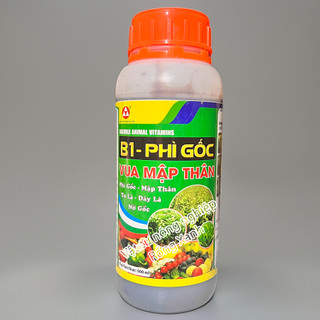 Phân bón B1 siêu phì gốc mập thân mập đọt nở gốc xanh cây cứng cây mạnh rễ