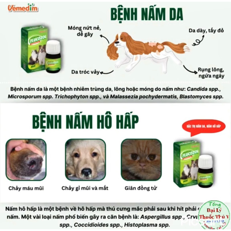 FLUCOZOL dạng uống sạch Nấm ngoài da, nấm hô hấp chó mèo