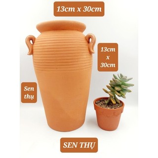 Chậu đất nung chậu sen đá - Bình quai 1330 đường kính miệng tầm 13cm chiều cao 30cm 