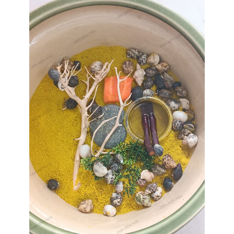 Mua 10 tặng 2 vỏ Baby. OMH BIÊN HÒA