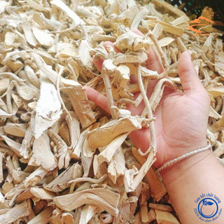 Rễ đinh lăng nếp khô lá nhỏ ngâm rượu, phơi khô từ củ, rễ đinh lăng nếp tươi giúp lợi sữa, tốt cho sức khoẻ