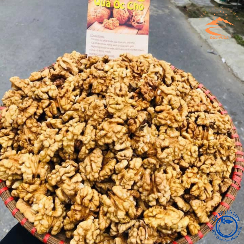 Nhân óc chó nếp vàng, óc chó giấy loại 1, đã tách vỏ. Óc chó sống sấy khô từ óc chó tươi rừng Hà Gia