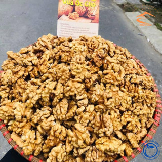 Nhân óc chó nếp vàng, óc chó giấy loại 1, đã tách vỏ. Óc chó sống sấy khô từ óc chó tươi rừng Hà Giang, làm sữa hạt