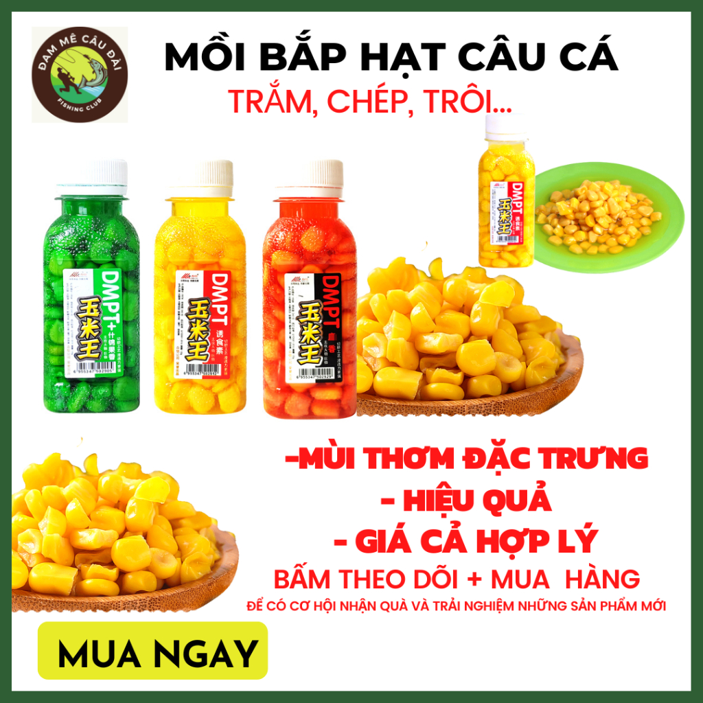 Mồi bắp hạt câu cá , mồi bắp hạt,mồi bắp vương câu cá trắm , cá trôi, cá chép, cá rô phi, ngô ngâm câu cá