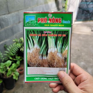Hạt giống hành lá gốc trắng 2gram t725