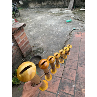 sáo đàn bò d50 (kêu gắt )