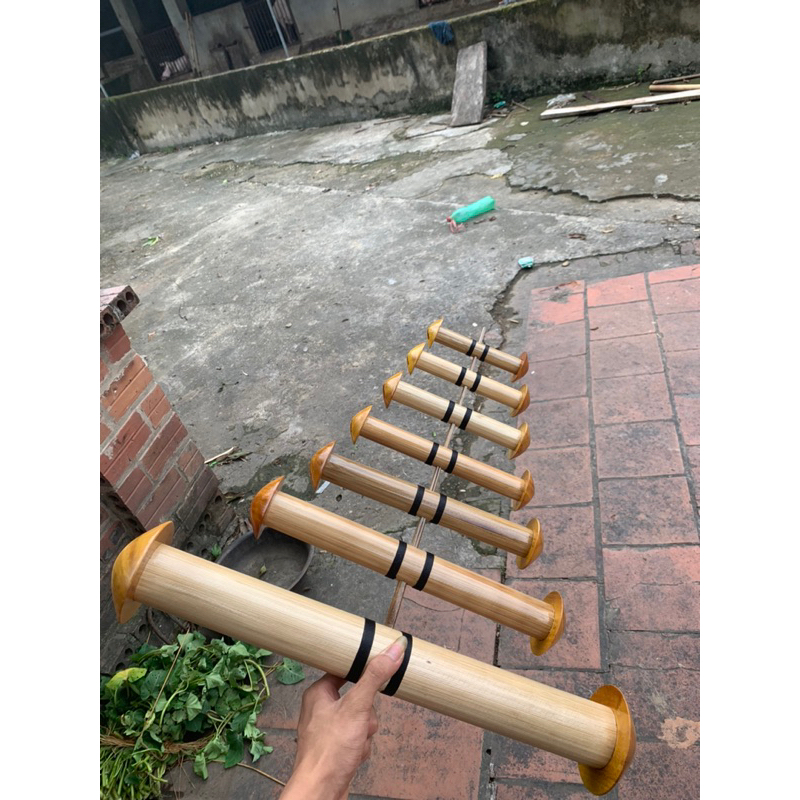 sáo đàn bò d50 (kêu gắt )