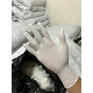 Găng tay latex không bột màu trắng - thương hiệu beeglove - ảnh sản phẩm 8