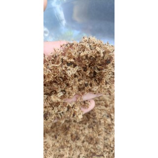 100gram hạt giống cây Hông, tếch lai