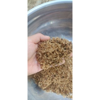 100gram hạt giống cây Hông, tếch lai