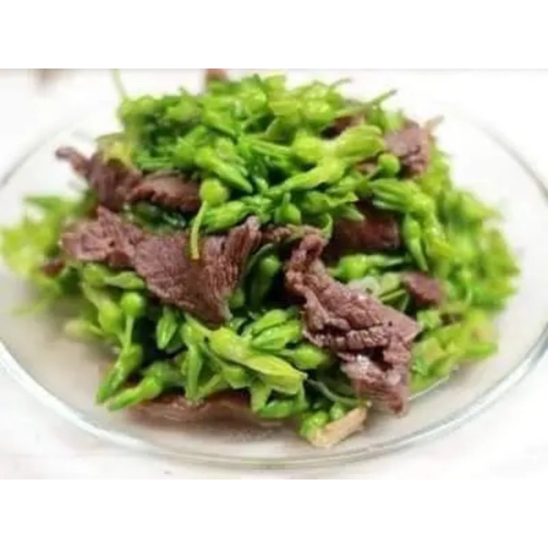 Hạt giống Hoa Thiên Lý