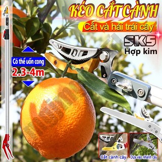 Kéo cắt cành trên cao cưa cành, kéo hái quả dài 3m - 5m