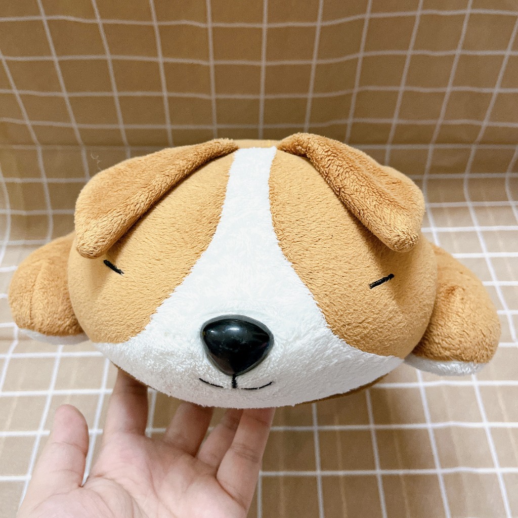 BÚP BÊ DOLL CHEN  NHÓM NHẠC EXO