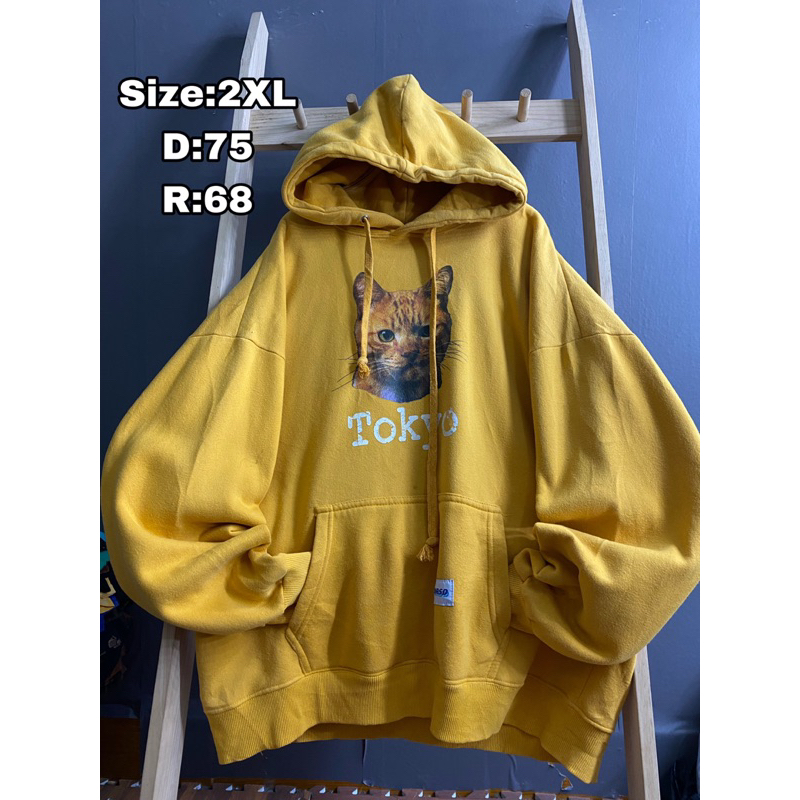 Hoodie sieu phẩm 99k -nỉ mũ dày 99k