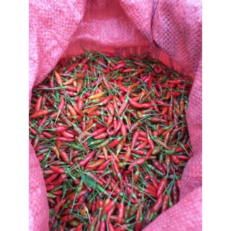 500g ớt thóc tây bắc cay ngon