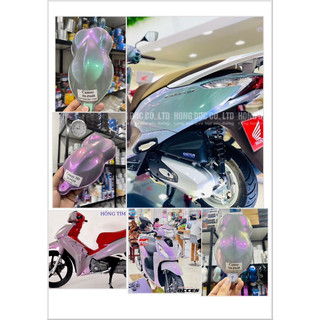 Màu Sơn Xám Ximang Ánh Các Màu Trong Hãng Honda MaiThànhĐạt