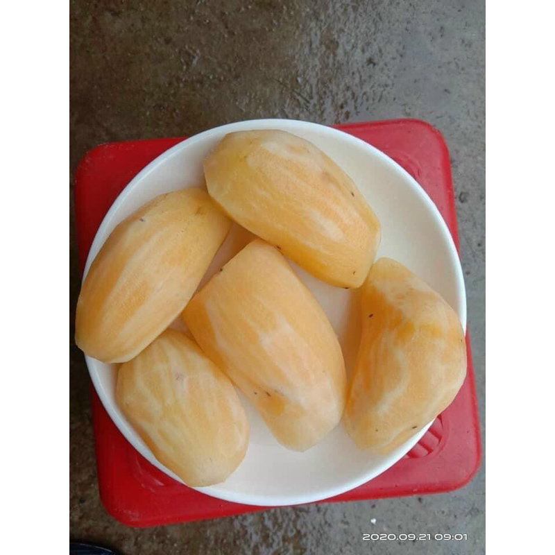 Combo 4kg KHOAI SÂM ĐẤT ăn sống