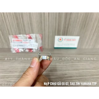 Nẹp chịu gù ex 07, taurus zin
