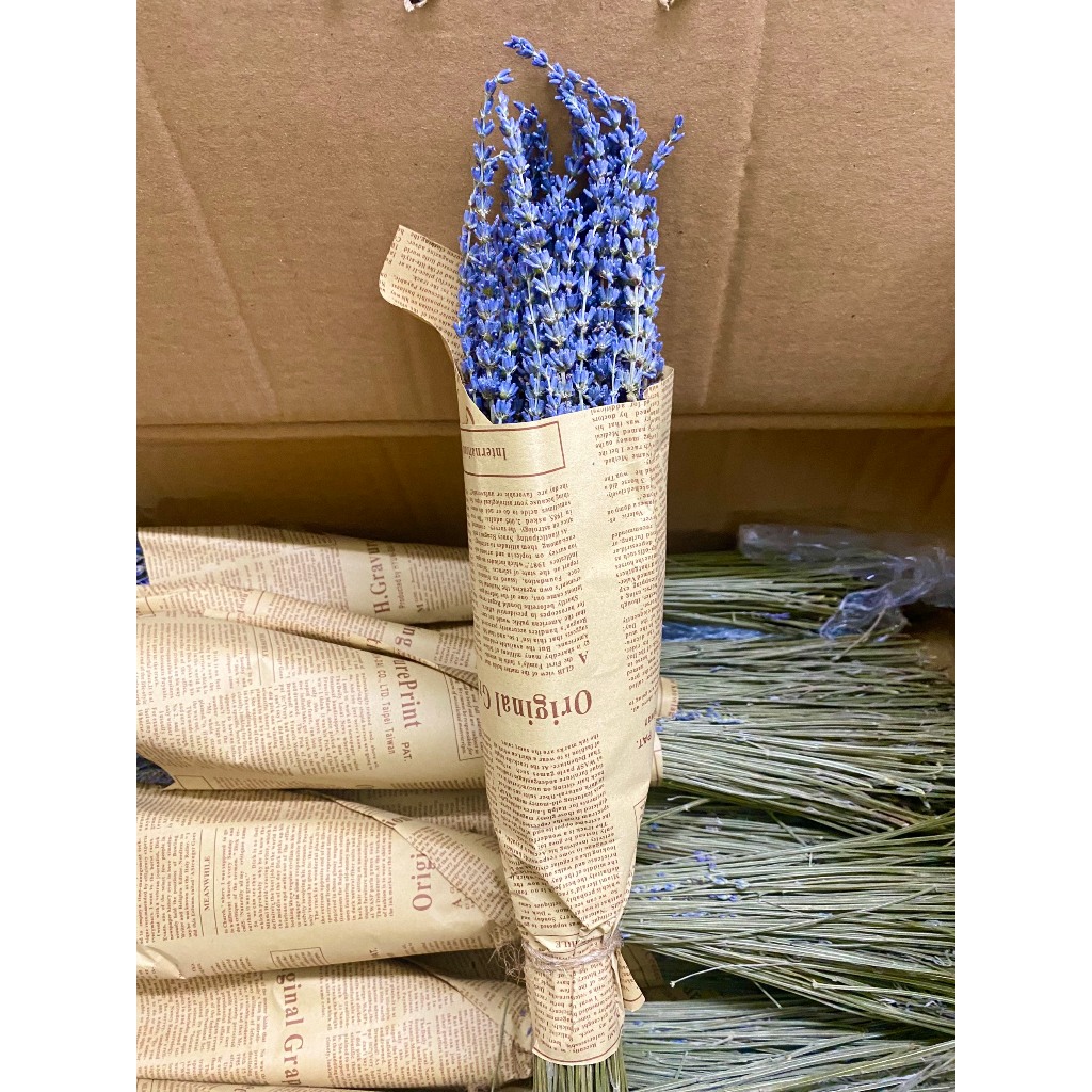 Hoa Lavender- Hoa Oải Hương Khô RẤT THƠM và NHIỀU NỤ