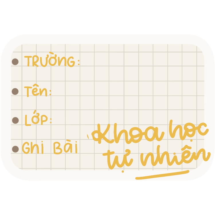 Lẻ nhãn vở   loại thường