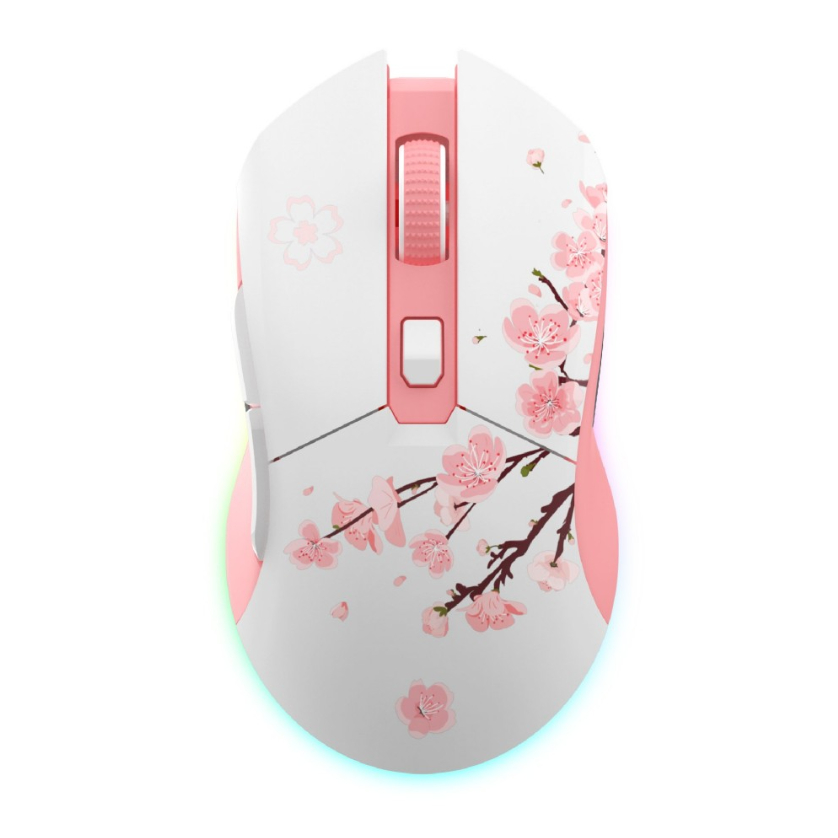 Chuột Gaming không dây Dareu EM901X RGB - SUPERLIGHT, Kèm Dock sạc