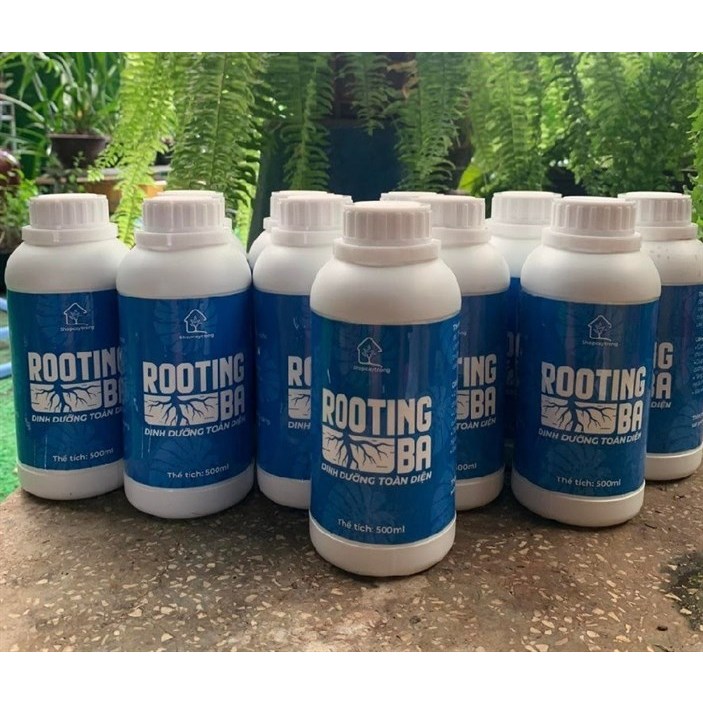 Thuốc kích rễ Rooting 500ml  dùng cho sen đá và các loại cây trồng