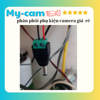 Jack nguồn DC Đực, Jack nguồn DC cái