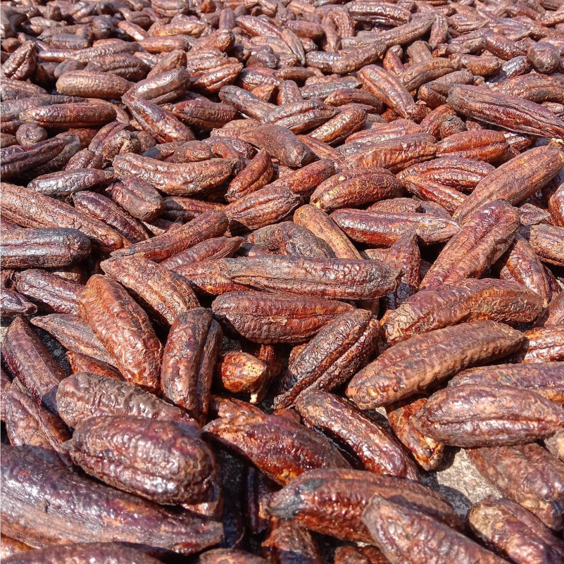 1kg Chuối hột rừng khô - AnAn đặc sản Tây Bắc