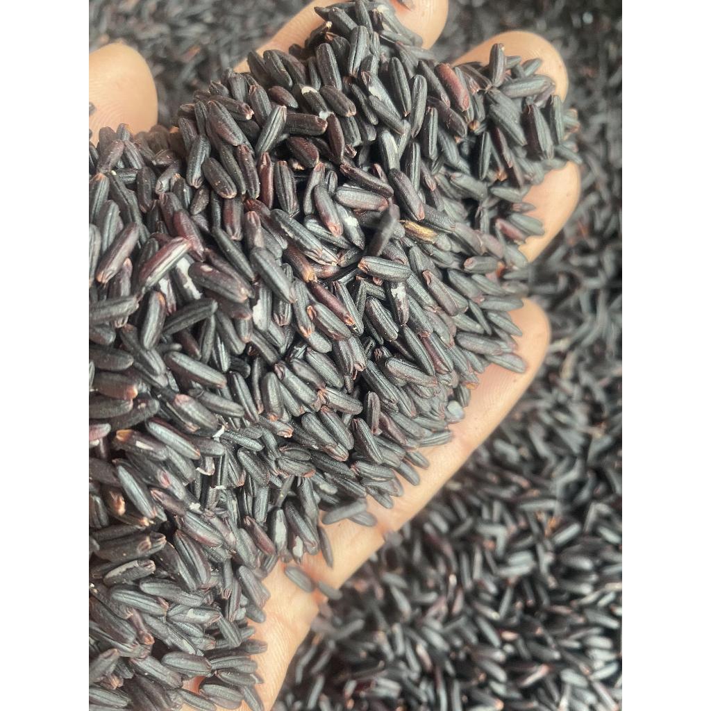 Gạo Lứt đen Điện Biên  loại đặc biệt thơm, ngon, dẻo - AnAn đặc sản Tây Bắc