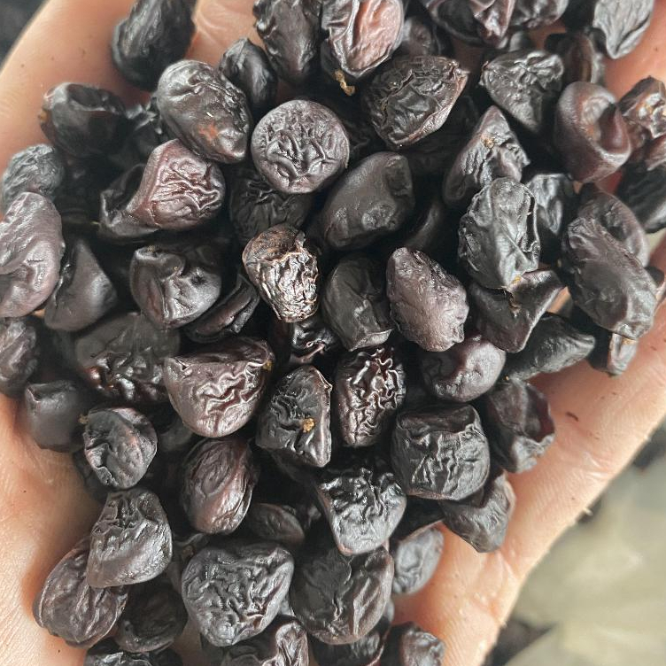 Gói 100gr hạt Dổi - AnAn đặc sản Tây Bắc