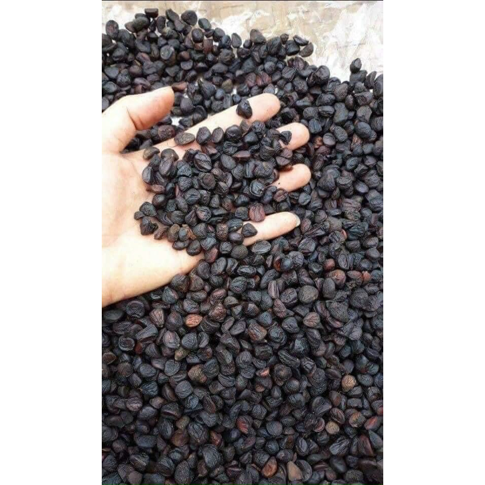 Gói 100gr hạt Dổi - AnAn đặc sản Tây Bắc
