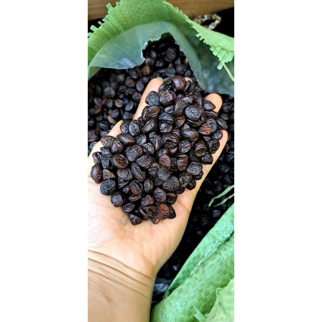 Gói 100gr hạt Dổi - AnAn đặc sản Tây Bắc