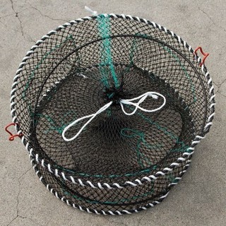 Lồng Bẫy BaBa - Rộng 40cm - Cao 25cm