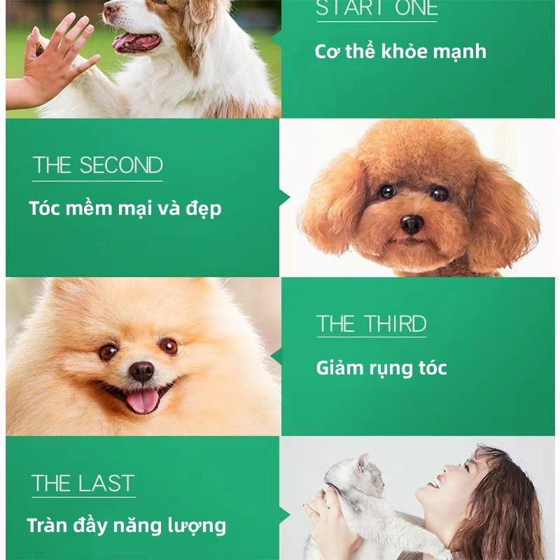 Vitamin tổng hợp cho chó mèo, vitamin cho chó mèo bầu, vitamin cho chó mèo con