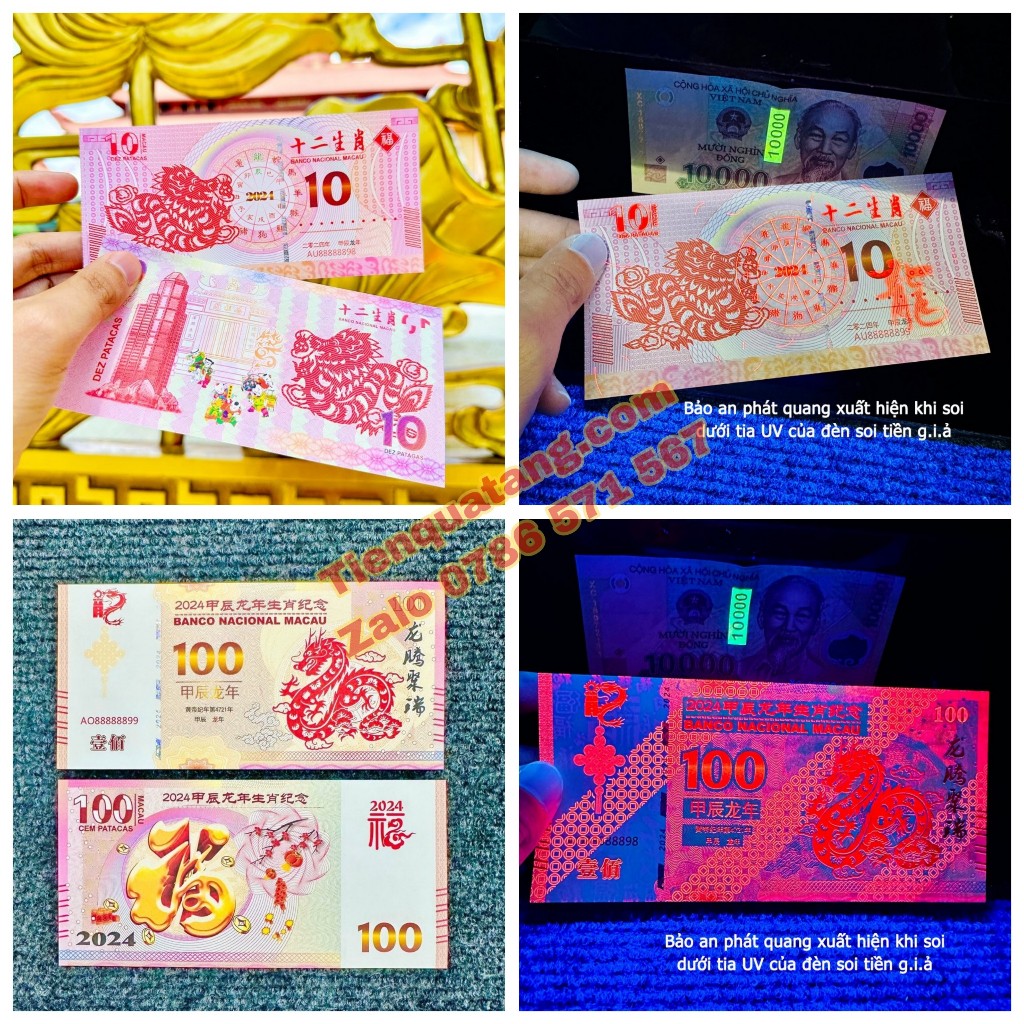 Combo 5 Tờ Tiền Con Rồng Macao 10 100 Patacas Kỷ Niệm - Tặng Kèm Bao Lì Xì 2024
