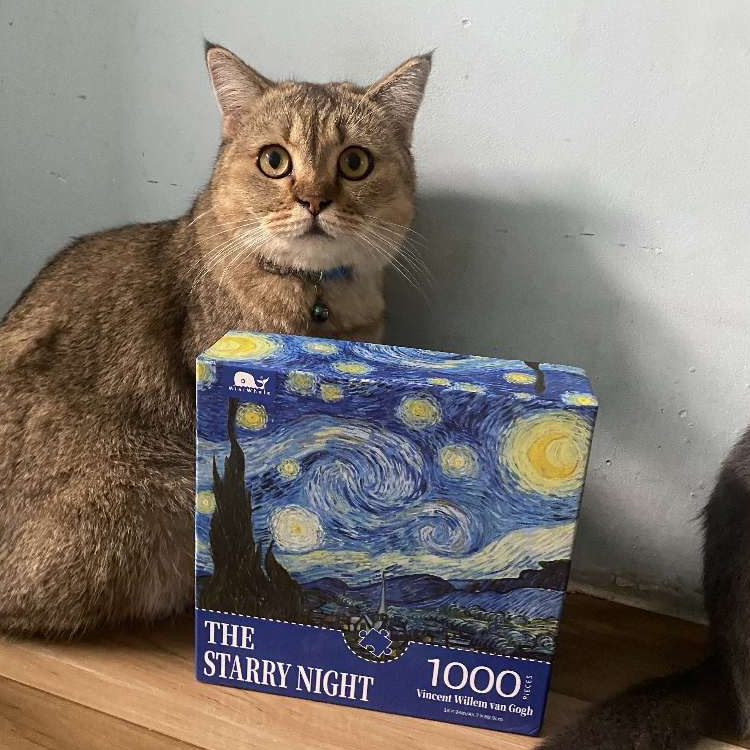 Tranh ghép hình 1000 mảnh MiniWhale Puzzle cao cấp Tranh xếphình người lớn và trẻ em chất liệu an toàn