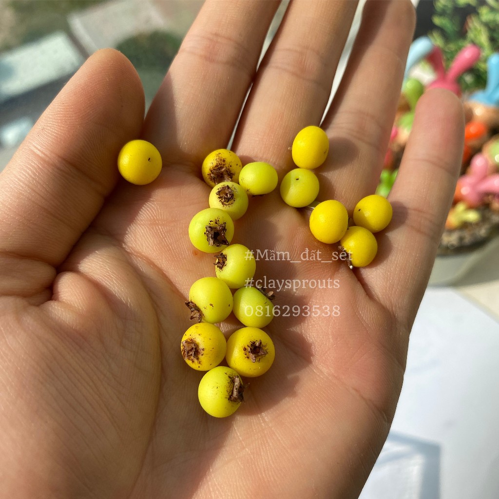 Mô hình trái thị sáp mini cho nhà búp bê từ đất sét tỉ lệ 1/6 - Mầm Đất Sét