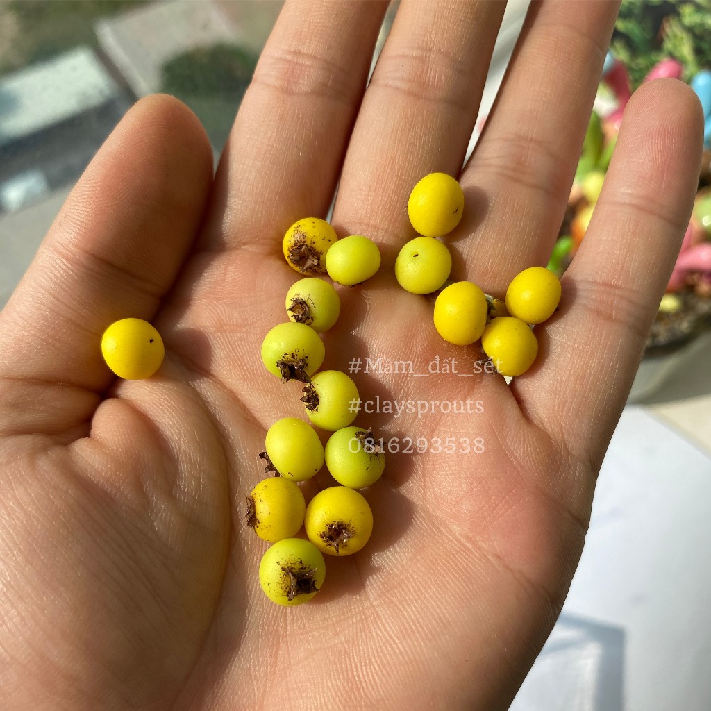 Mô hình trái thị sáp mini cho nhà búp bê từ đất sét tỉ lệ 1/6 - Mầm Đất Sét